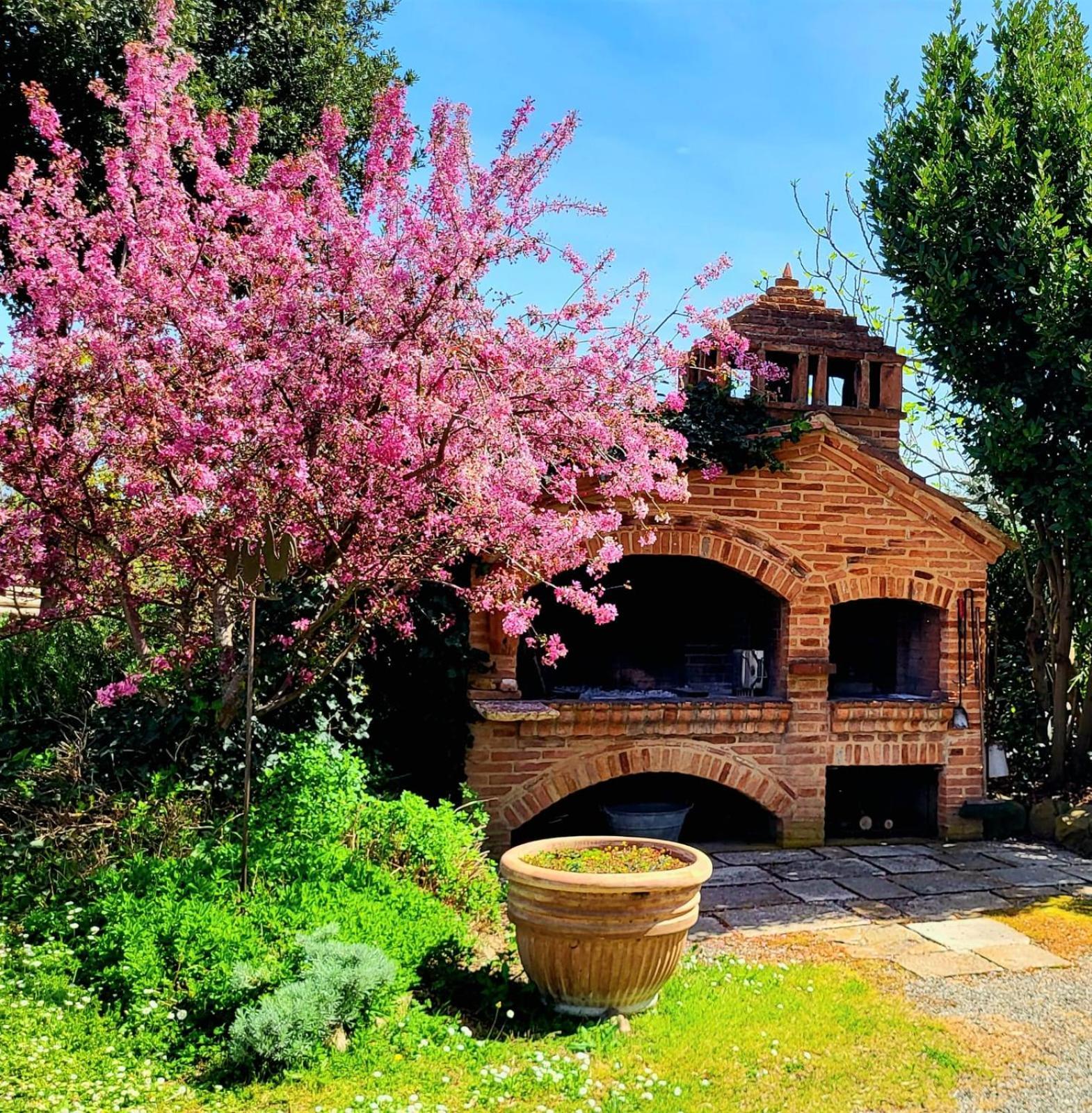 Podere Cunina Buonconvento Ngoại thất bức ảnh