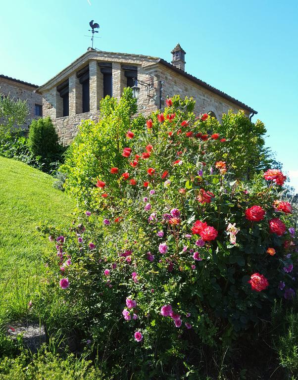 Podere Cunina Buonconvento Ngoại thất bức ảnh